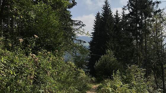 Suchergebnis Vorschaubild Suchergebnis Vorschaubild