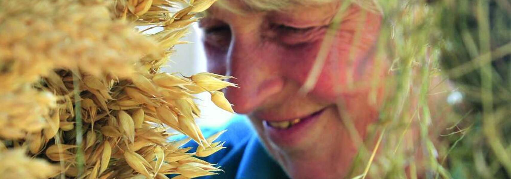 Traditionen zum Erntedankfest