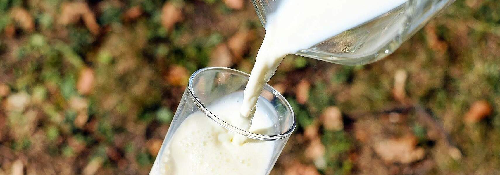 Milch: Wichtiger Teil der Ernährungssicherung