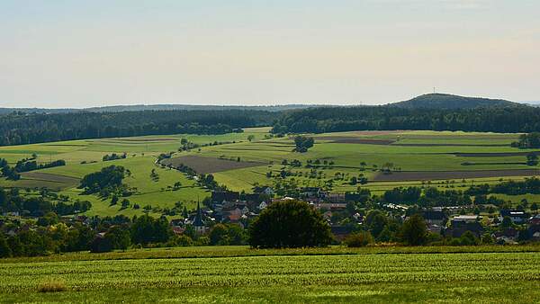 Europaabgeordnete setzen wichtiges Signal für eine starke Gemeinsame Agrarpolitik