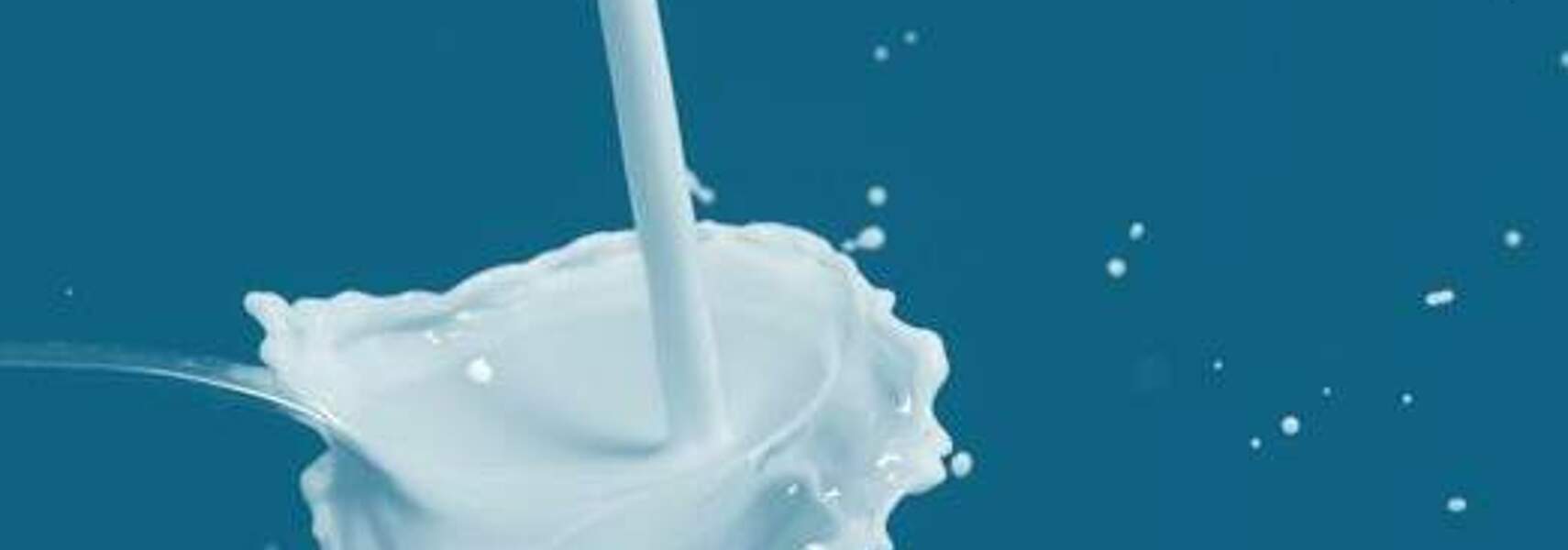 Bundesweiter Aktionstag 2023 „Tag der Milch“