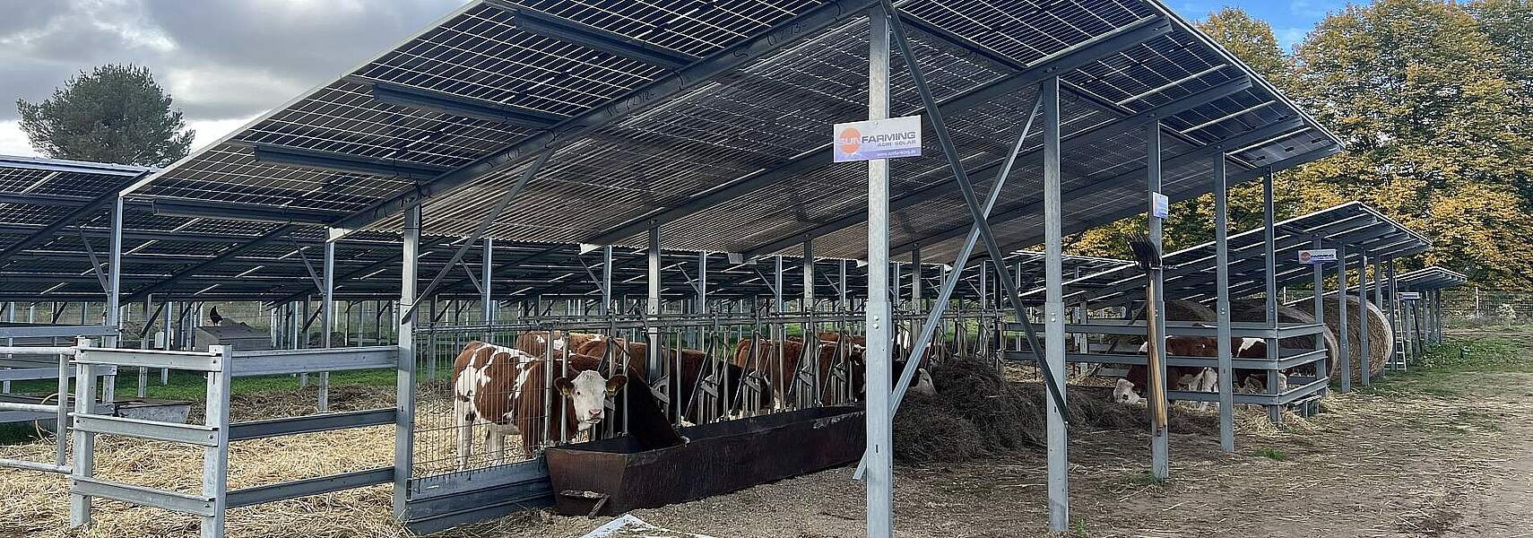 dbk 8/2025 – Hängepartie bei Solarpaket I und Biomassepaket