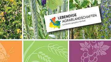 Suchergebnis Vorschaubild