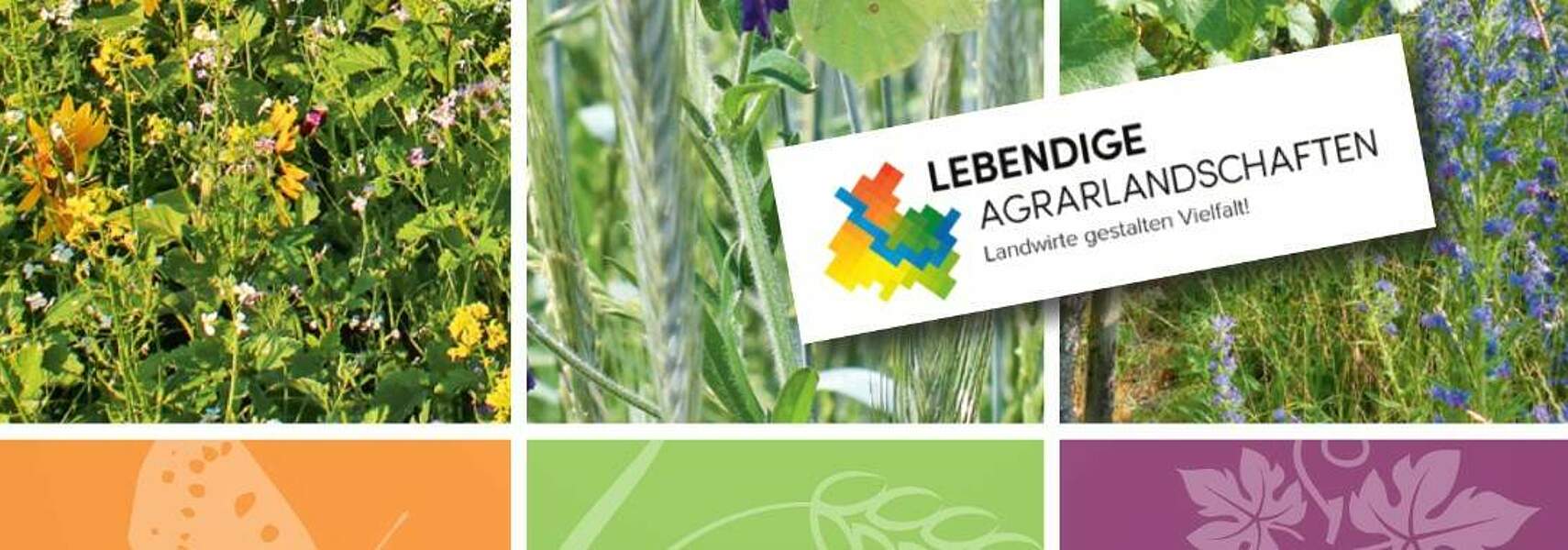 Praxis-Handbuch Lebendige Agrarlandschaften