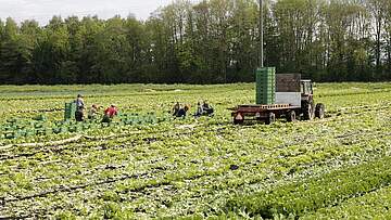 Suchergebnis Vorschaubild