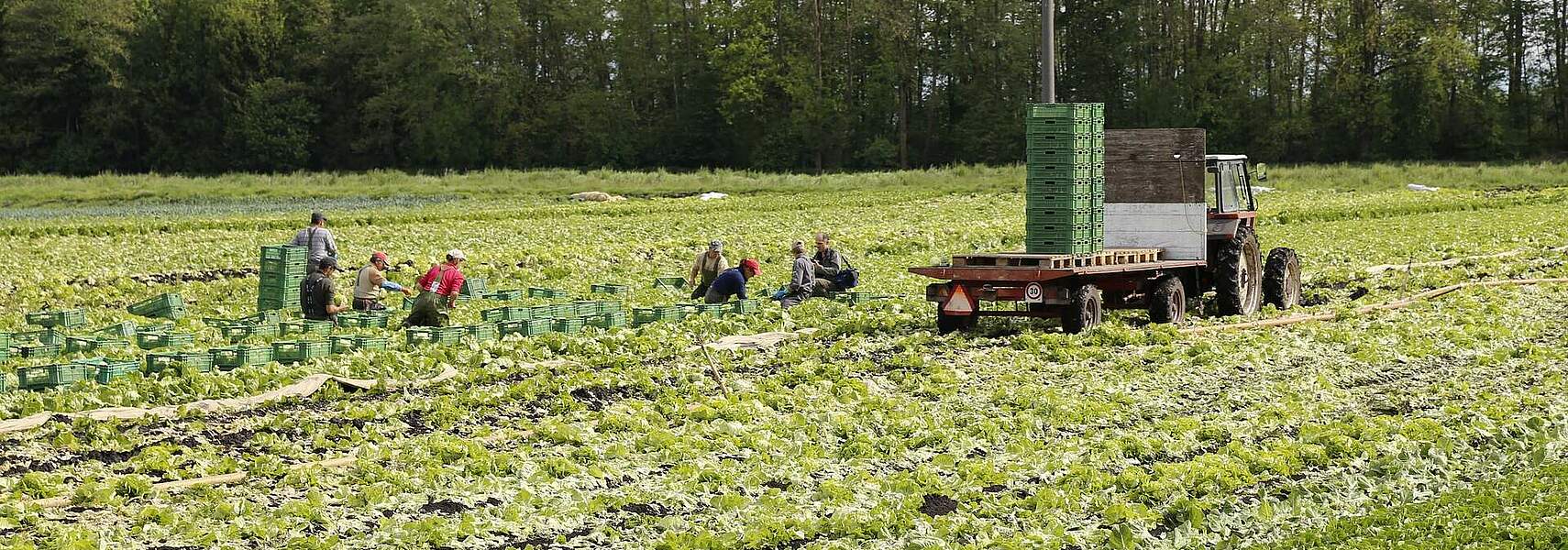 Hintergrundinformationen zum Mindestlohn