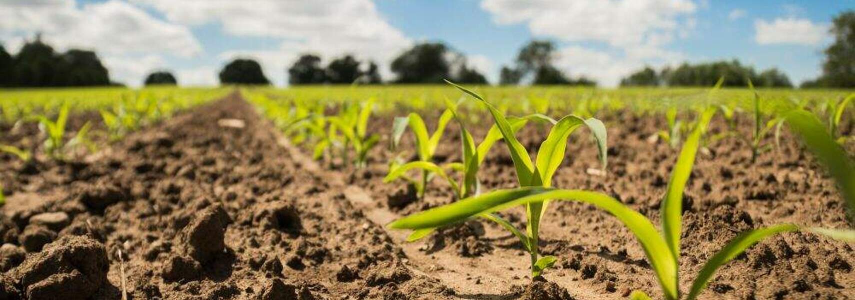 Mehr Biodiversität durch smarten Pflanzenschutz