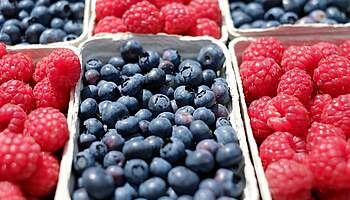 E_berries-1493905_c_Couleur_pixabay