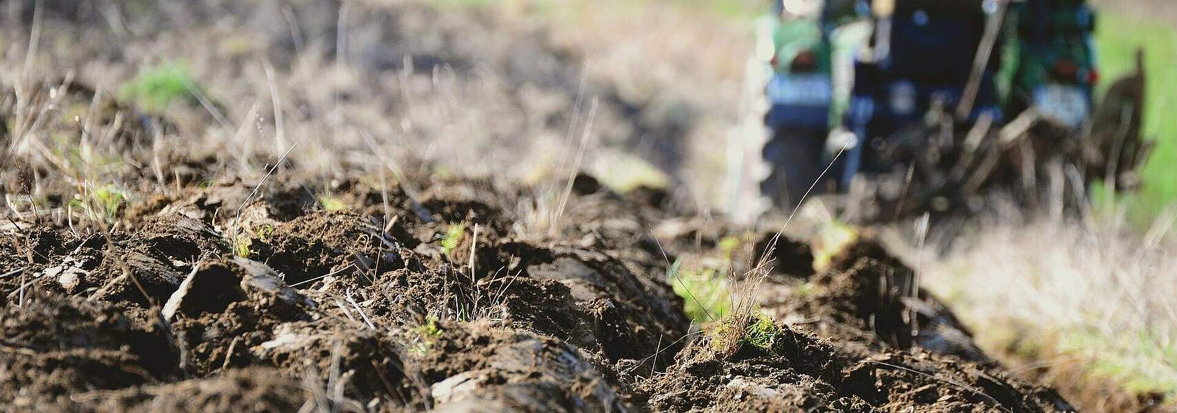 2019 erneut weniger Treibhausgase aus der Landwirtschaft