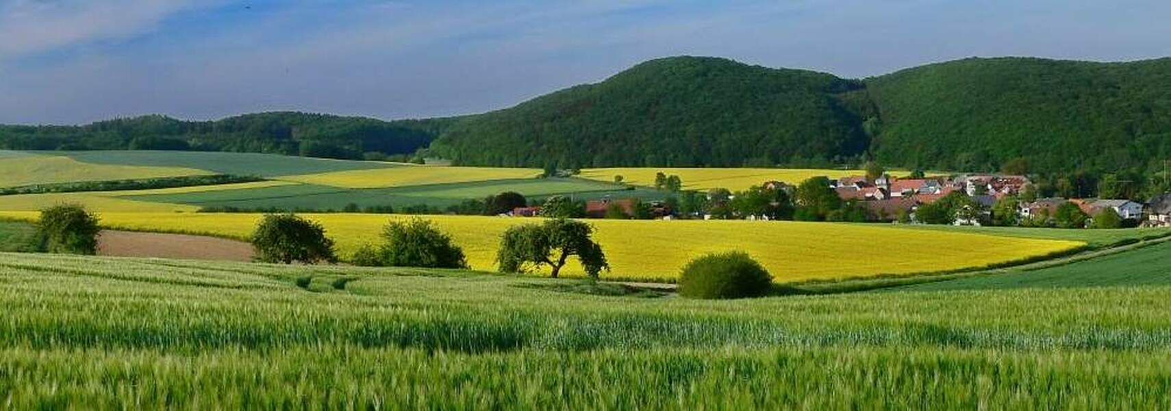 Gespräche zur Entlastung der Landwirtschaft