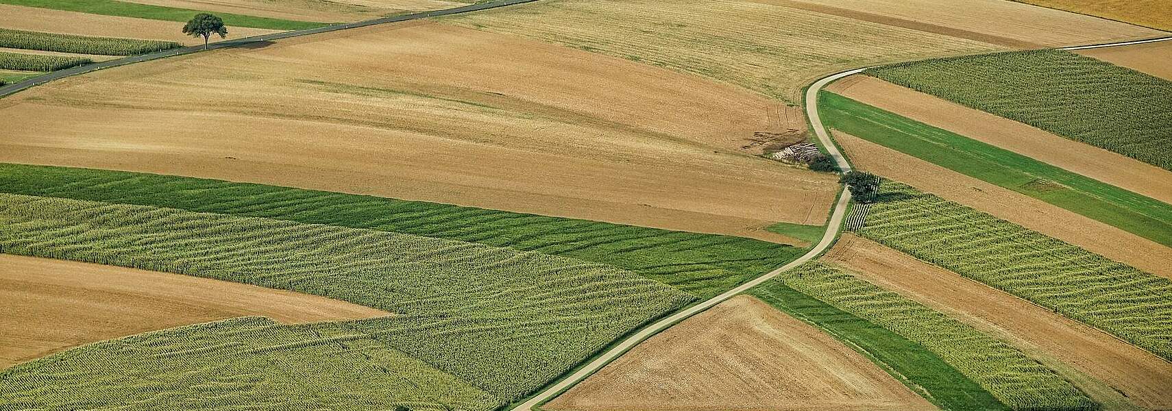 „Ökoregelungen so schnell wie möglich verbessern“