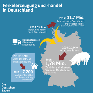 Suchergebnis Vorschaubild