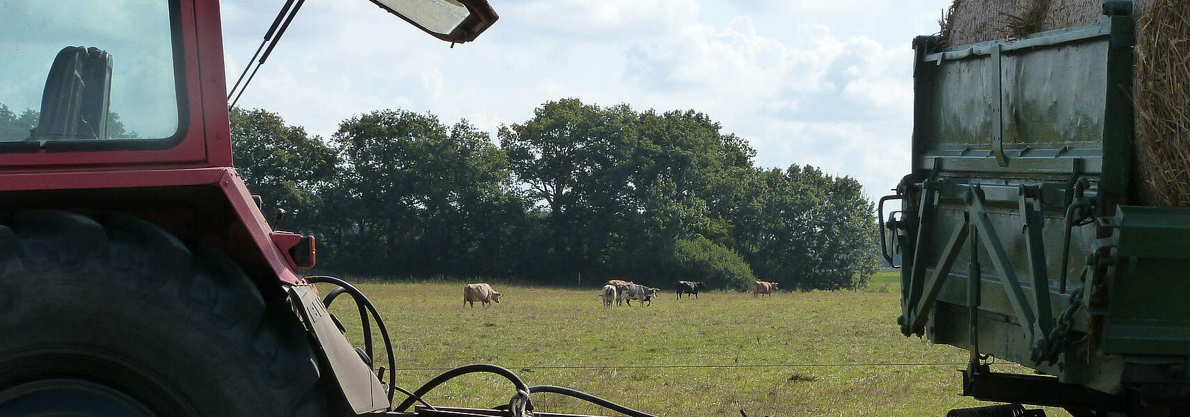 DBV macht Politik auch für den Ökolandbau