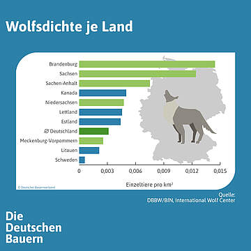 Suchergebnis Vorschaubild