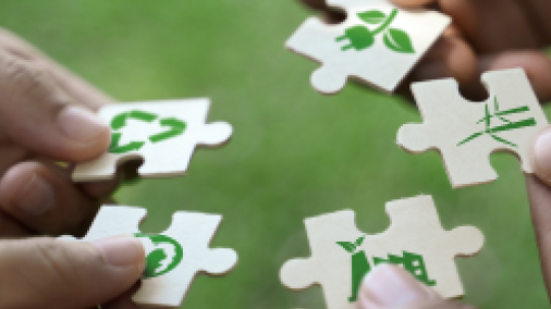 Suchergebnis Vorschaubild