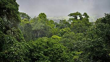 Suchergebnis Vorschaubild