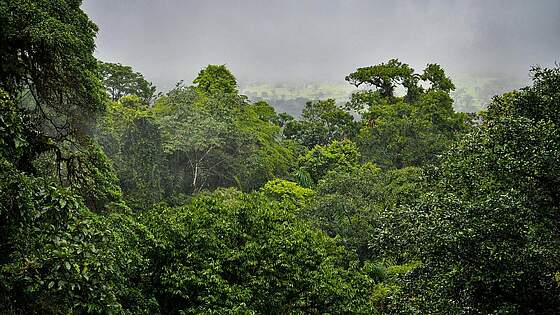 Suchergebnis Vorschaubild