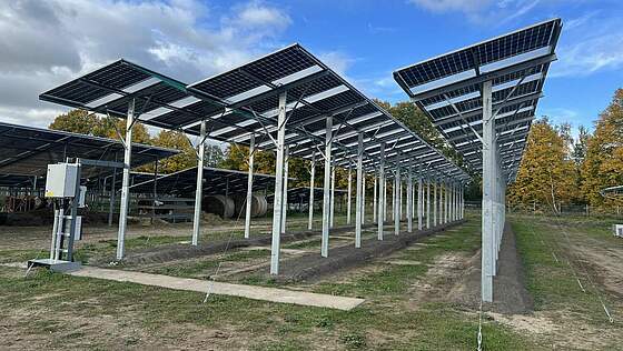 Suchergebnis Vorschaubild