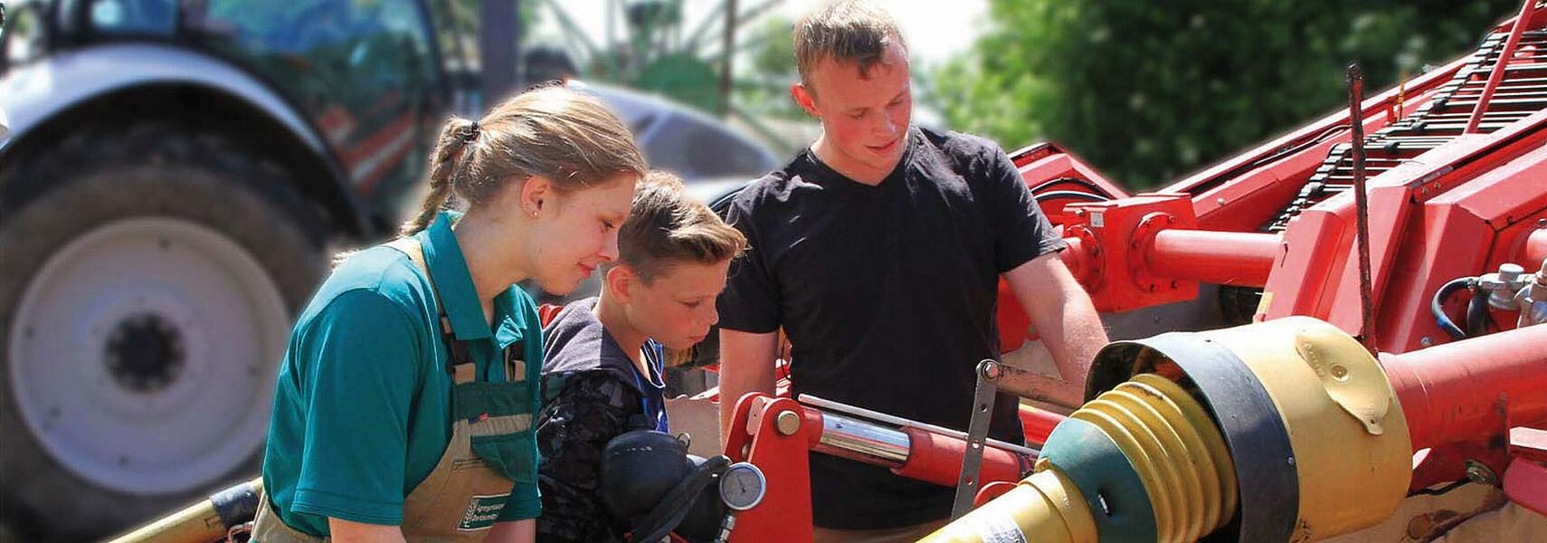 Ausbildungszahlen bei den Grünen Berufen: Erfreuliche Entwicklung