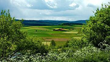 Suchergebnis Vorschaubild
