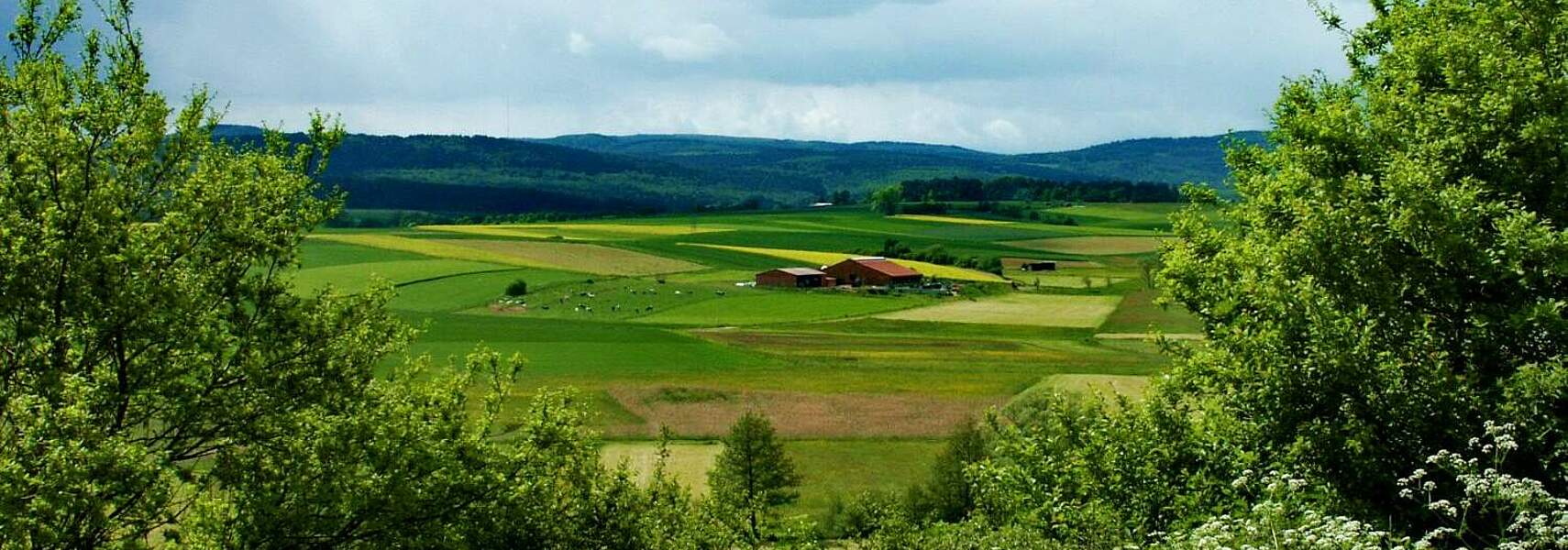 Trilog-Einigung zur Gemeinsamen Marktorganisation