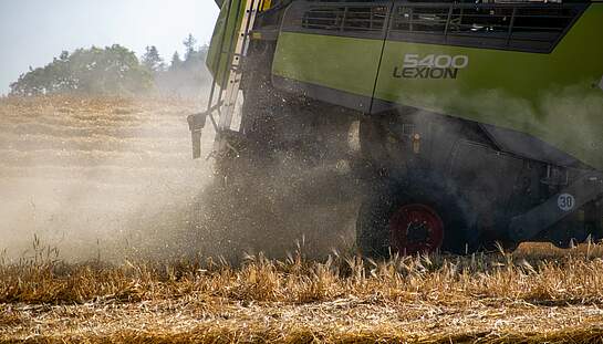 harvest-6475440_c_Hannemann_DBV.jpg