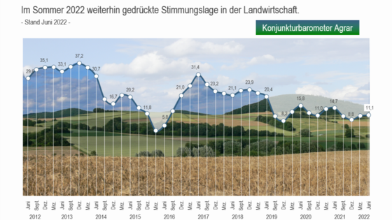 Suchergebnis Vorschaubild