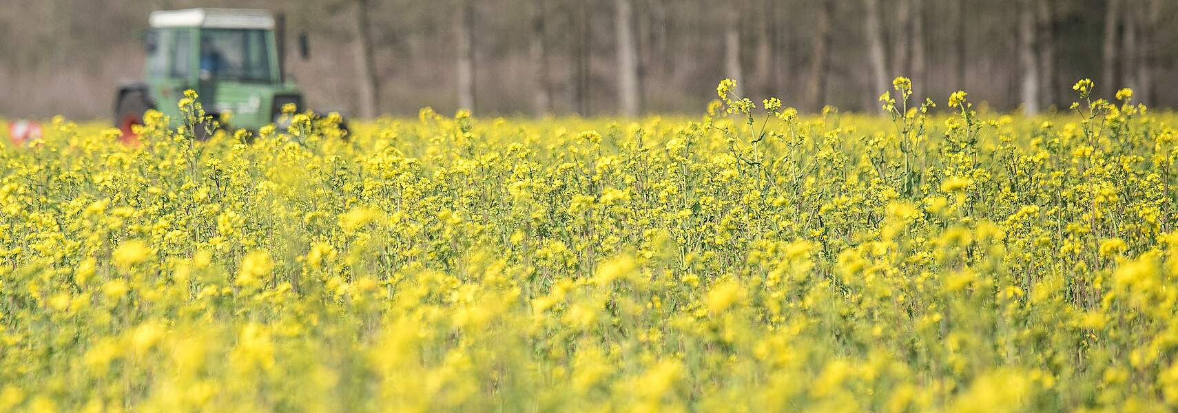 DBV-Zukunftsworkshop Digitale Landwirtschaft 2025