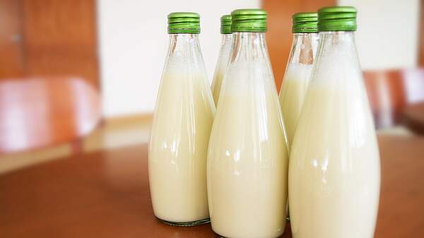 Internationaler Tag der Milch