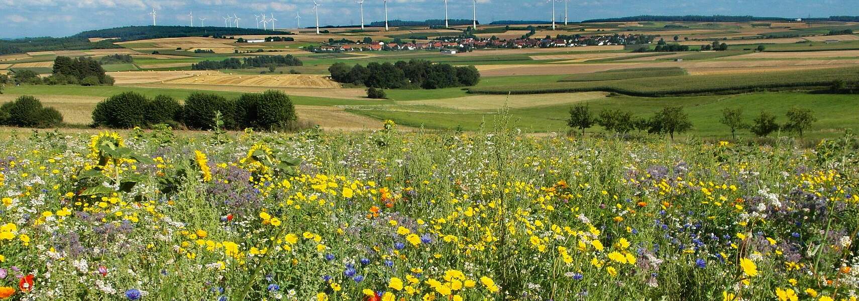 Übergabe Abschlussbericht Zukunftskommission Landwirtschaft