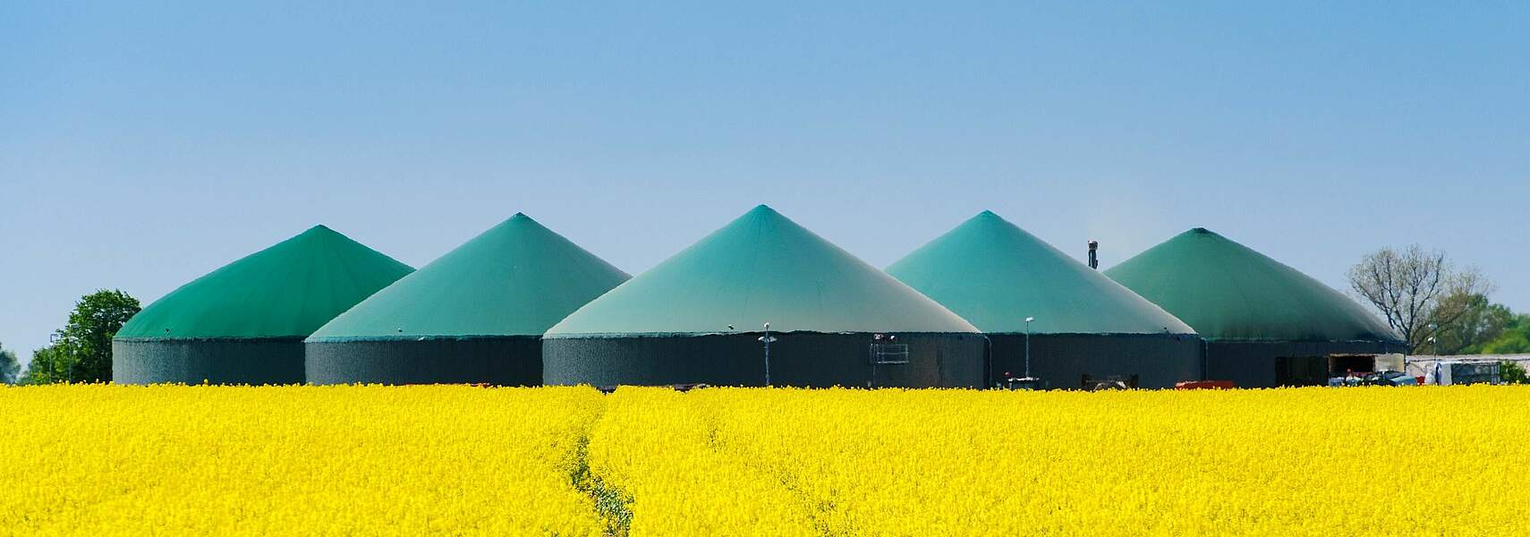 Entschärfung bei Erlösabschöpfung auf Biogas