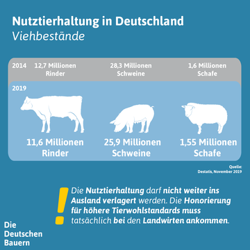 Suchergebnis Vorschaubild