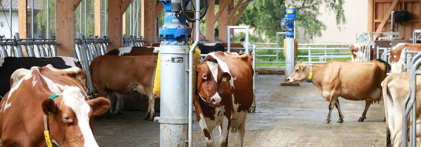 Bauernverband kritisiert Baulandmobilisierungsgesetz