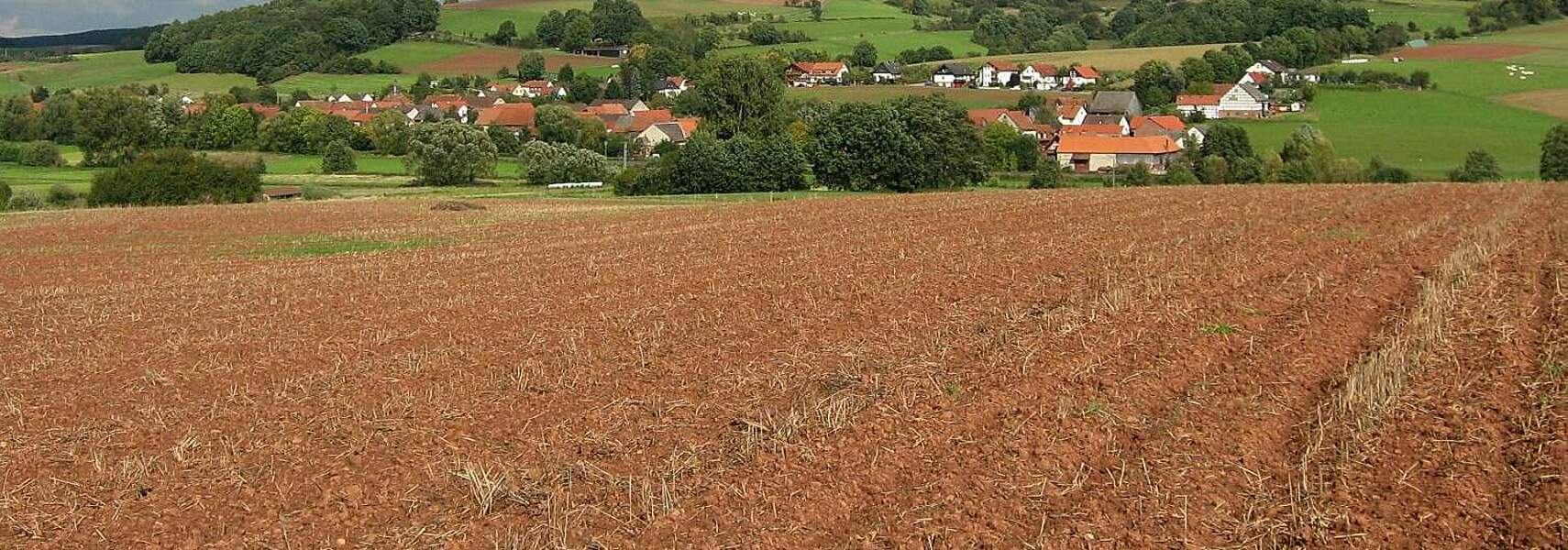 Verbändebündnis fordert Stopp des EU Soil Monitoring Laws
