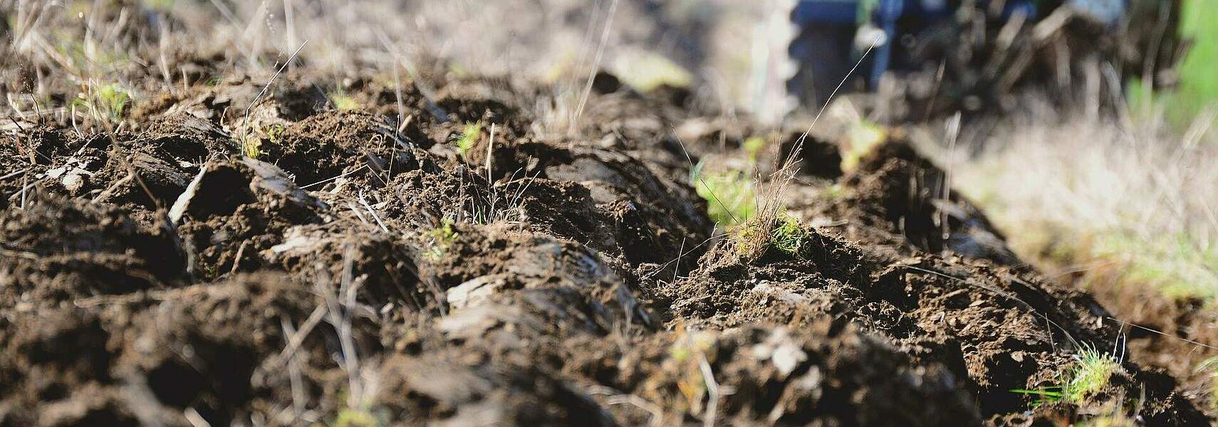 Nachhaltige Landwirtschaft schafft und erhält fruchtbare Böden