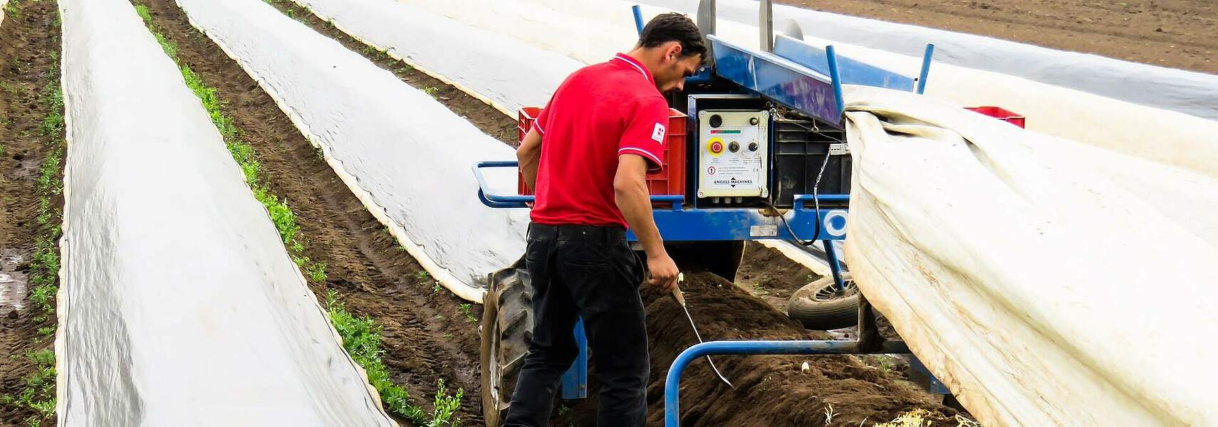 Saisonarbeitskräfte dringend benötigt