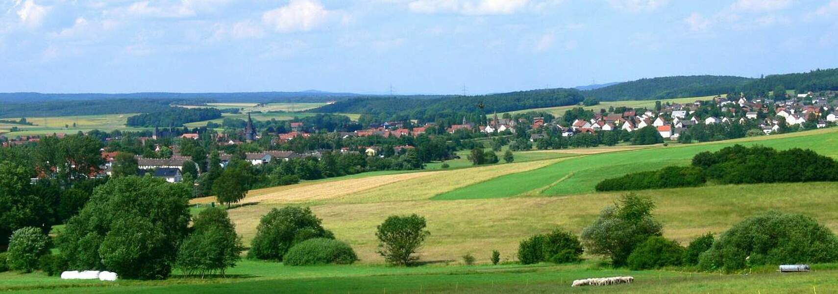 Europäischer Rechnungshof bestätigt DBV-Kritik bei MFR und GAP