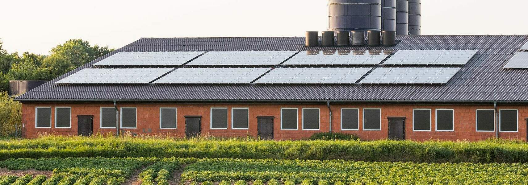 Bundestag muss Bauen für mehr Tierwohl ermöglichen