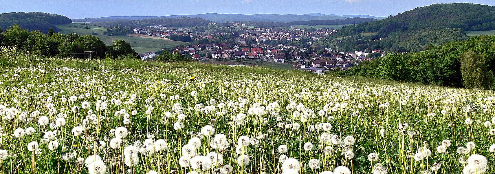 Positionspapier zum Mehrjährigen Finanzrahmen der EU