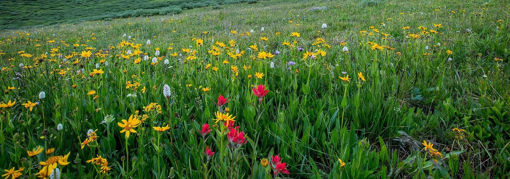 Im Dialog mit der Praxis - So gelingen Naturschutz und Landwirtschaft im F.R.A.N.Z.-Projekt