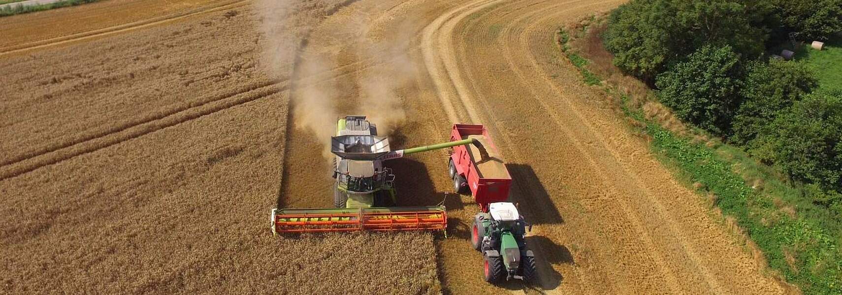 Deutscher Bauernverband legt Erntebilanz vor