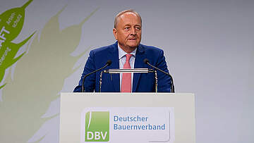 Suchergebnis Vorschaubild