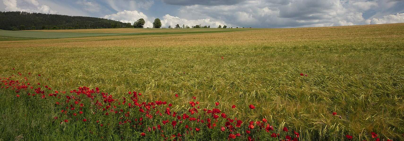 Umwelt-Omnibus verfehlt Erwartungen massiv – Bürokratieabbau und Vereinfachung bleiben leere Versprechen Umwelt-Omnibus verfehlt Erwartungen massiv – Bürokratieabbau und Vereinfachung bleiben leere Versprechen