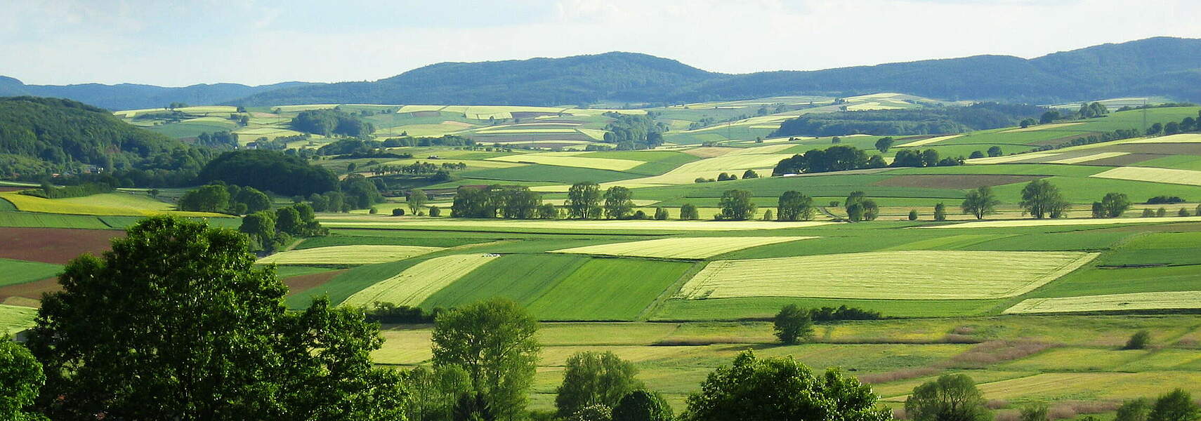 Vorschläge für die Grüne Architektur und Eco-Schemes