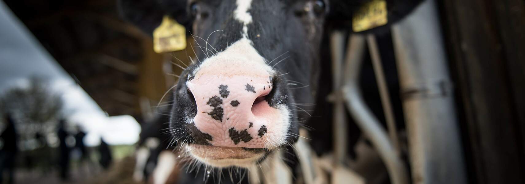 DBV-Fachforum Milch "2030: Milch trifft Zukunft"