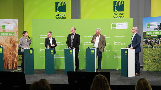 Suchergebnis Vorschaubild