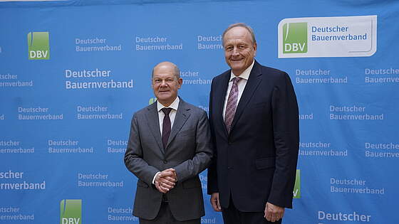 Suchergebnis Vorschaubild
