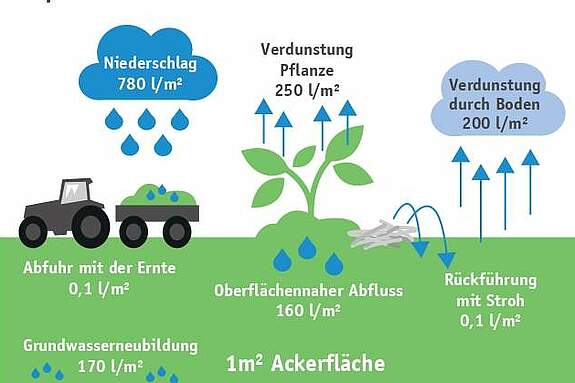 Deutscher Bauernverband e.V. - Wasser, Landwirtschaft und Klimawandel