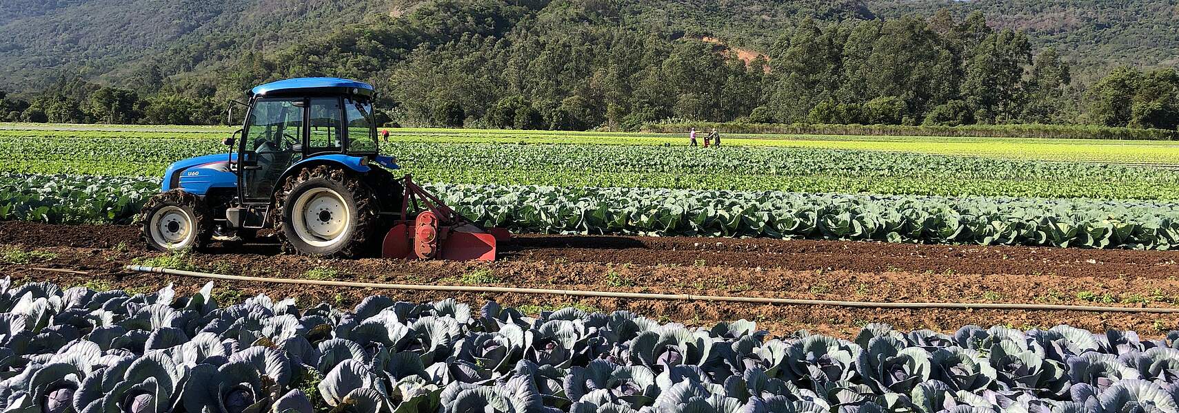Letzte Chance für Korrektur an Mercosur-Abkommen nutzen!