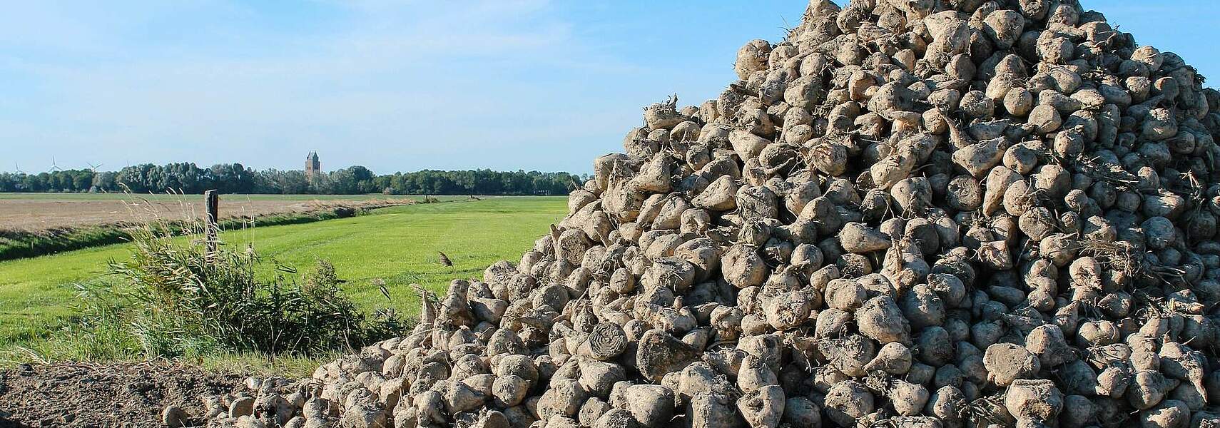 Einsatz von Biokraftstoffen aus Anbaubiomasse in der Landwirtschaft muss förderfähig sein